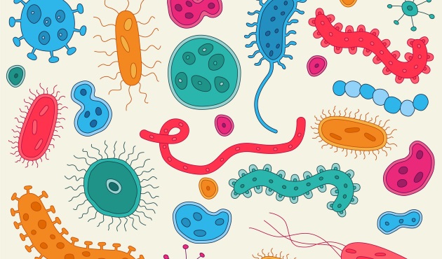Las bacterias, hongos y partículas de contaminación
