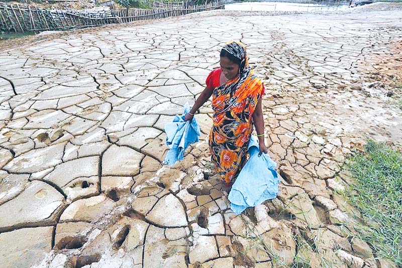 Harmful effects of drought