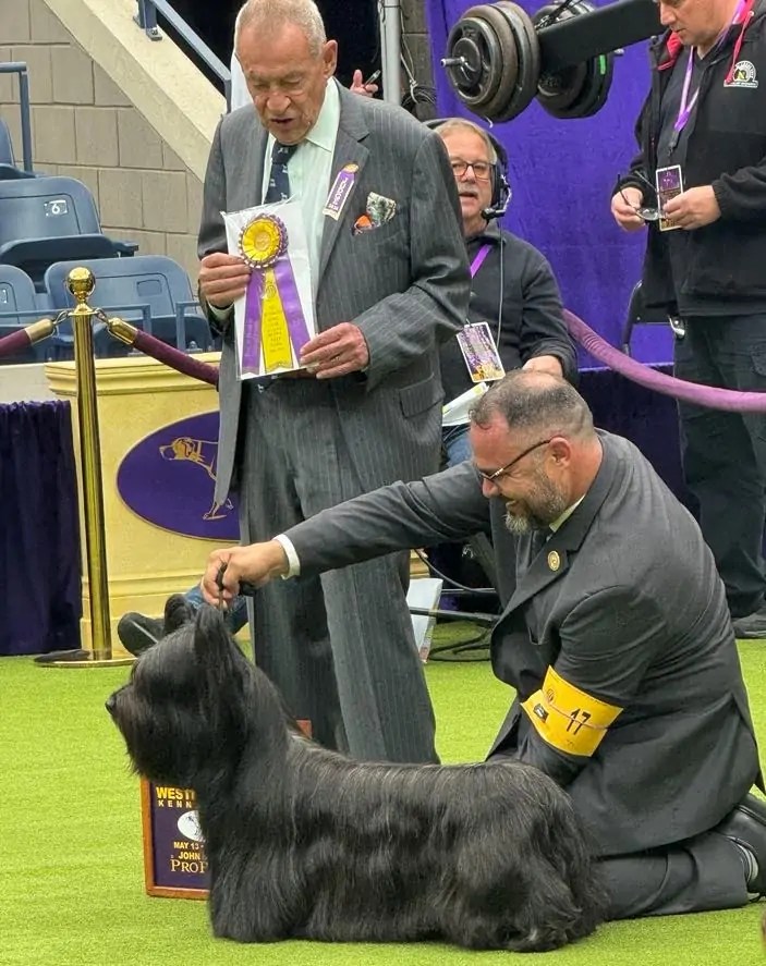 Local handler and Skye terrier win breed class at Westminster Ocala