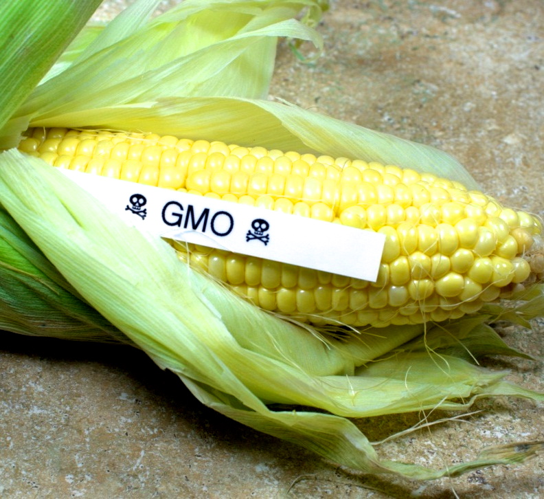 Monsanto Spends 4.6 Million to Defeat Washington GMO Labeling
