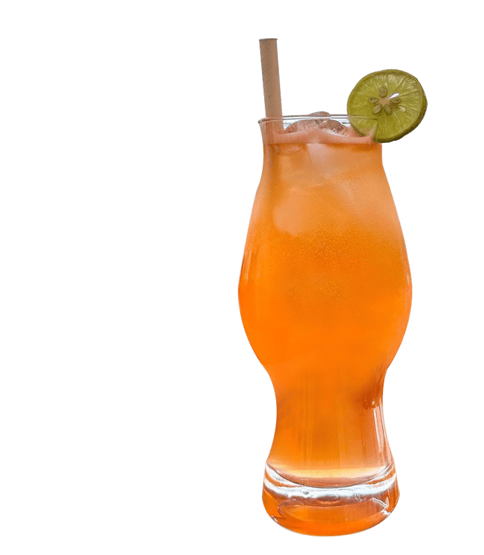 Orange Cafe & Diner Best Cafe in Bir Best Restaurant in Bir