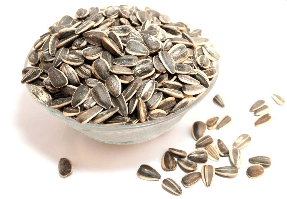 OCD Types HairPulling Disorder