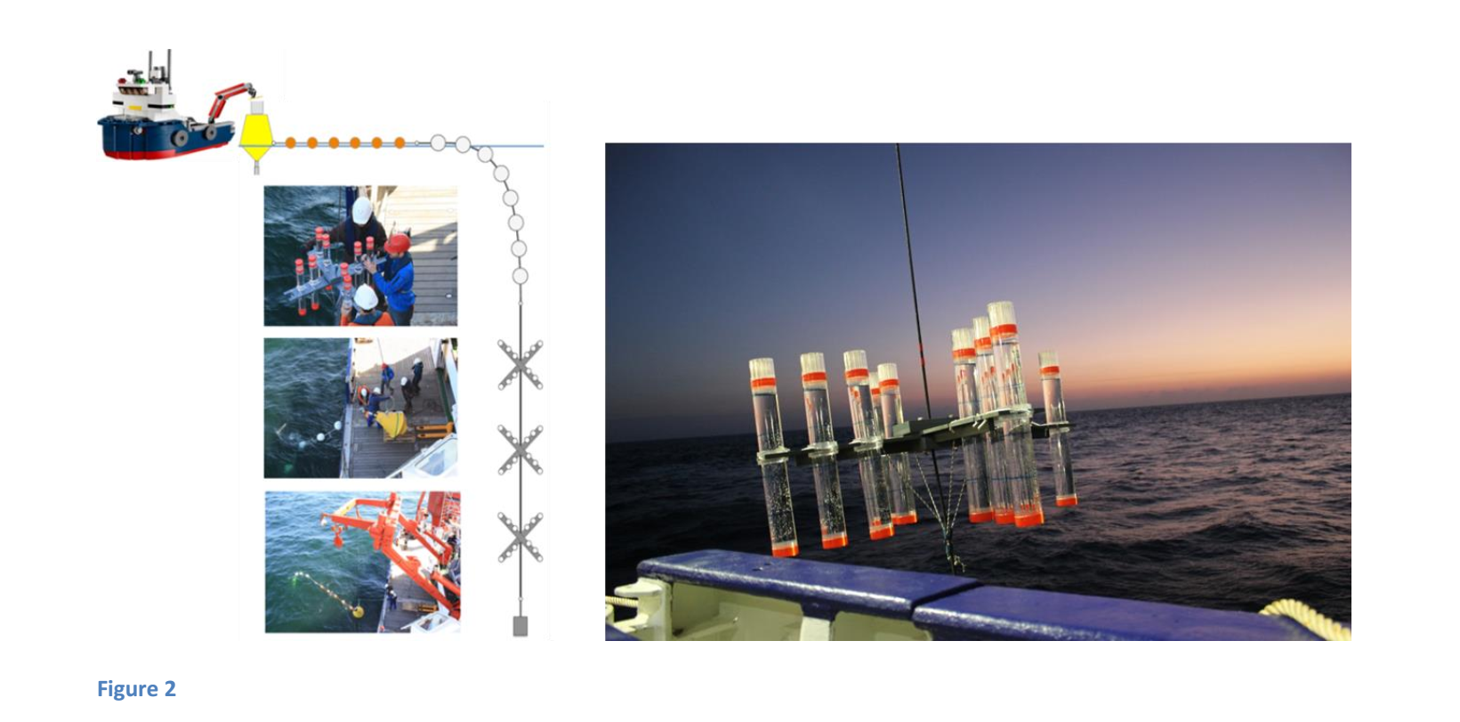 What is the ocean’s biological carbon pump? M138