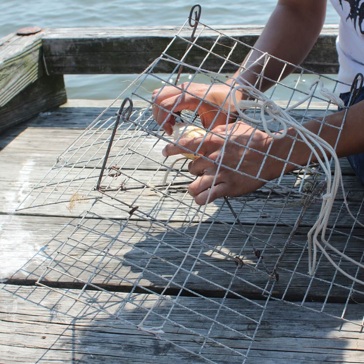 How to go crabbing independently in Ocean City, Maryland