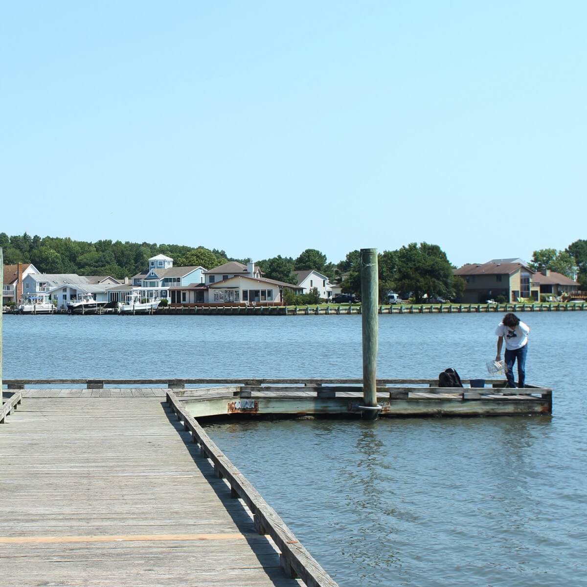 How to go crabbing independently in Ocean City, Maryland
