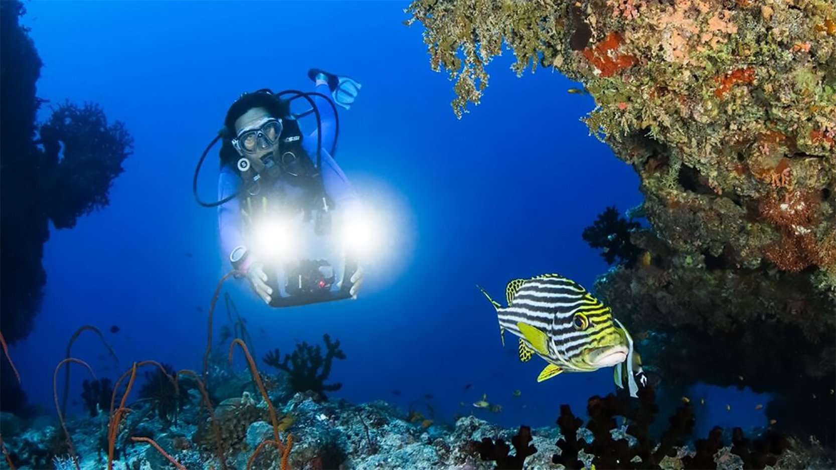 Diving with a GoPro and relive your best diving moments