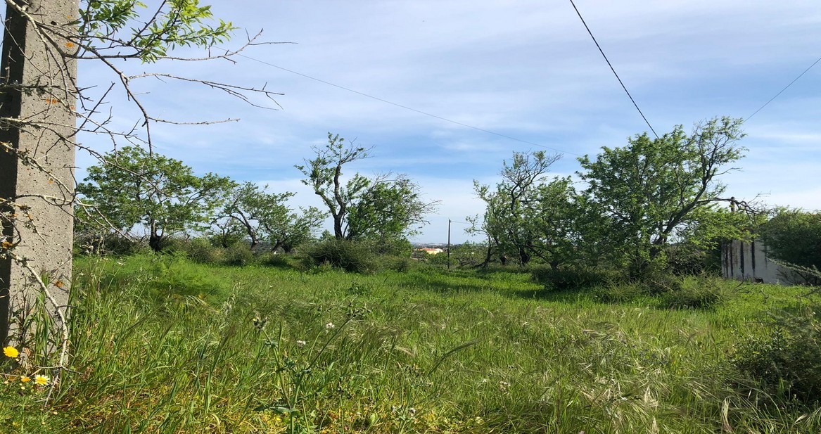 Mixed Land For Sale in Pera PortugalOcean Key Property Portugal