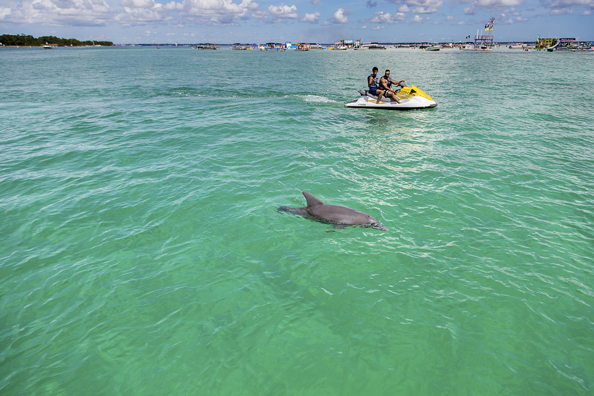 Crab Island and Cruising the Destin Harbor Ocean Reef Resorts