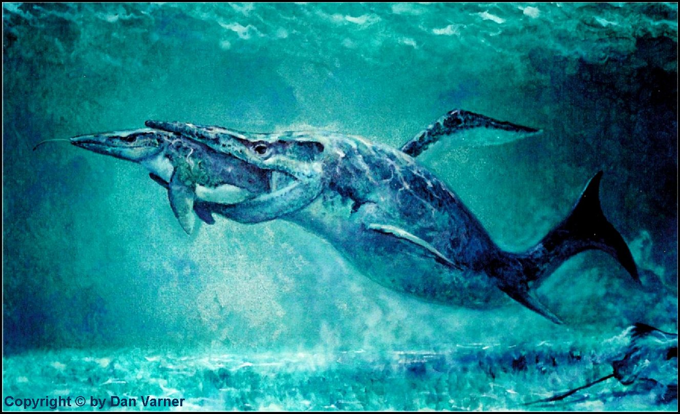 Carnivores and Super Predators Mosasaur Pics