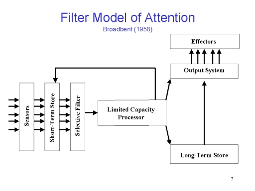 Information Processing Model Of Memory Quizlet slideshare