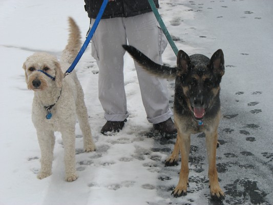Photos Ozaukee County House and Pet Sitters