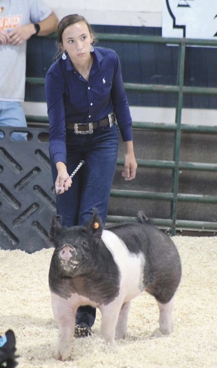 2023 Show Pigs Ractopamine Bans At Fairs Mean Changes For Many Hog Exhibitors – Ohio Ag Net | Ohio's Country Journal