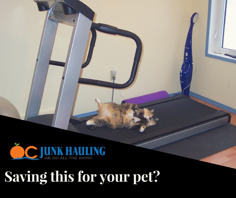 Treadmill, Removal Exercise Equipment Removal in Orange County