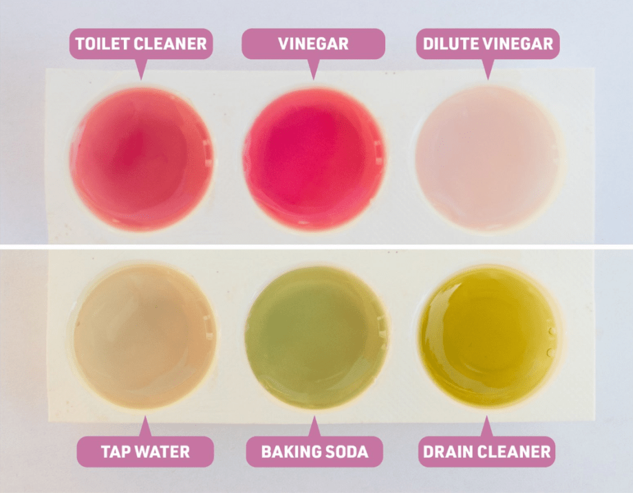 Practical chemistry at home garden pH indicators