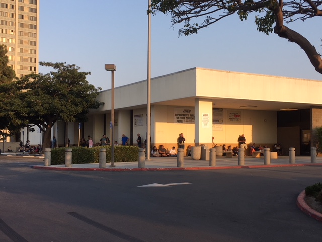 A marathon or two could be run while you wait in line at the DMV