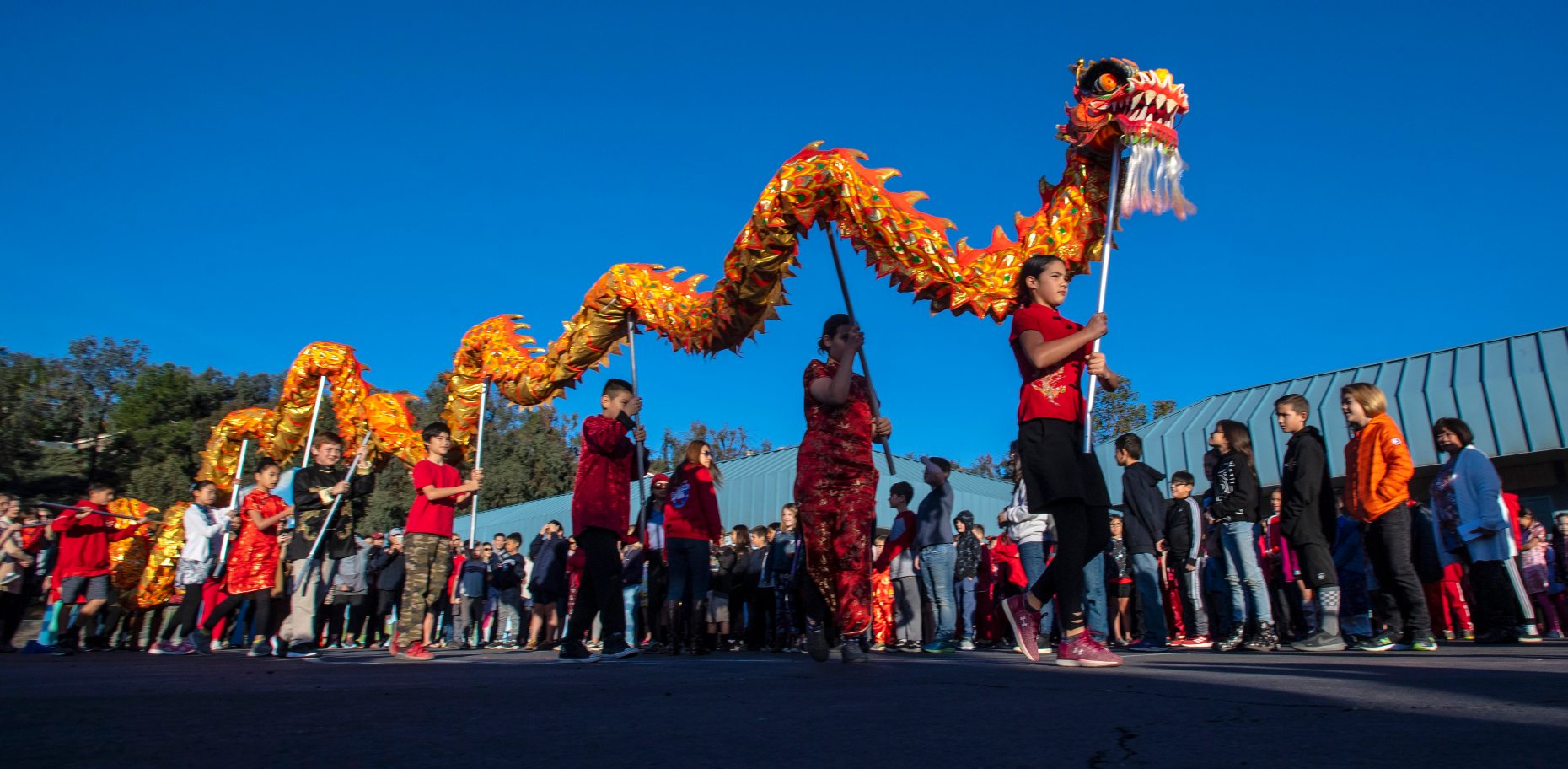 Students in immersion program Chinese New Year with dragon