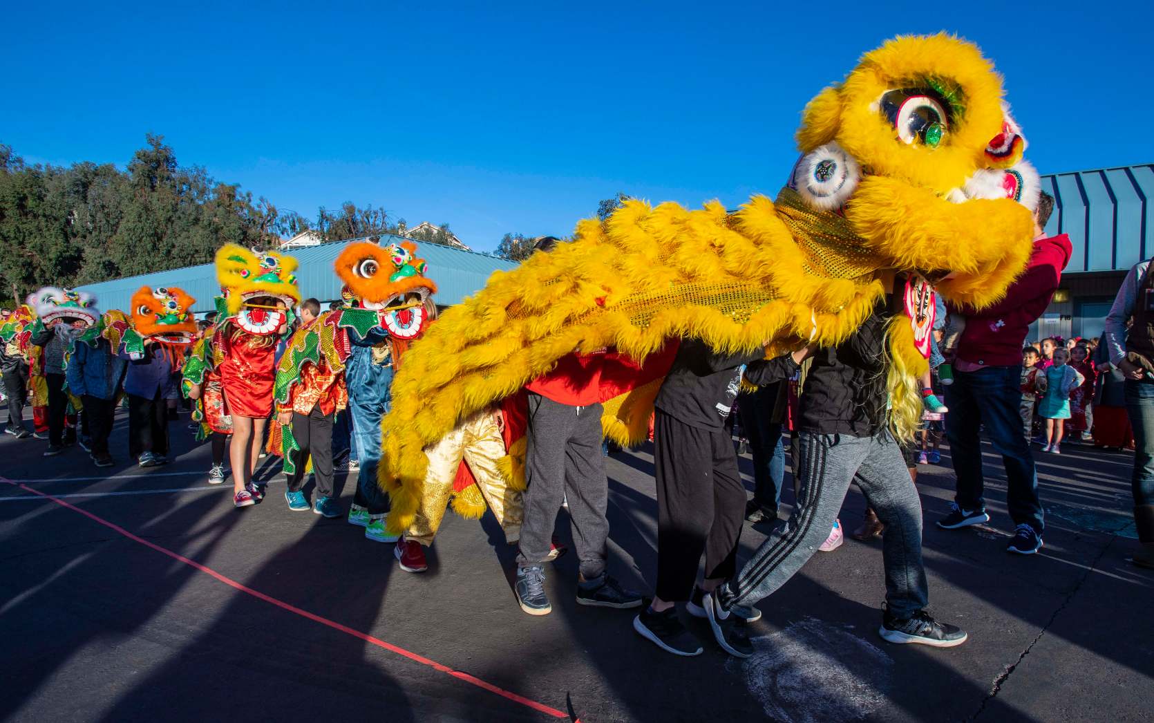 Students in immersion program Chinese New Year with dragon