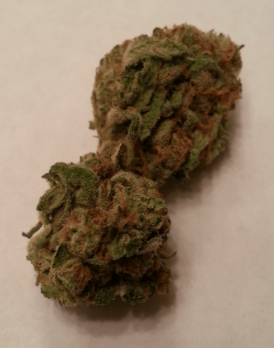 Pineapple Express from Second Story Medical Marijuana Review OC Weed