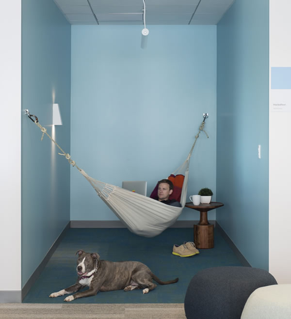 8 Coolest Office Perks Oddee