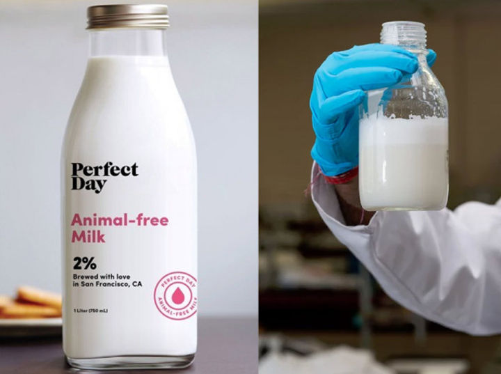 This Startup Makes Cow Milk Without the Cow
