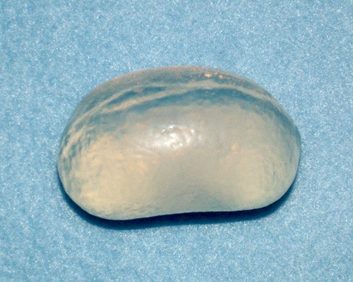 The Man Who Became a Millionaire by Selling Fake Dog Balls