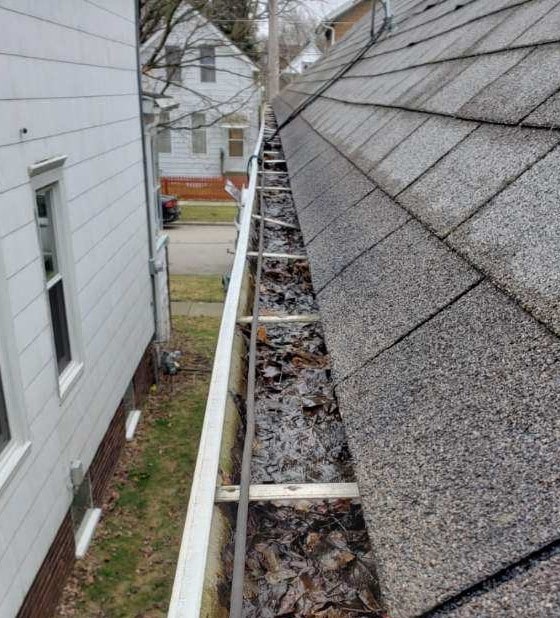 Clean Gutters in Zion Odd Job Larry Kenosha WI