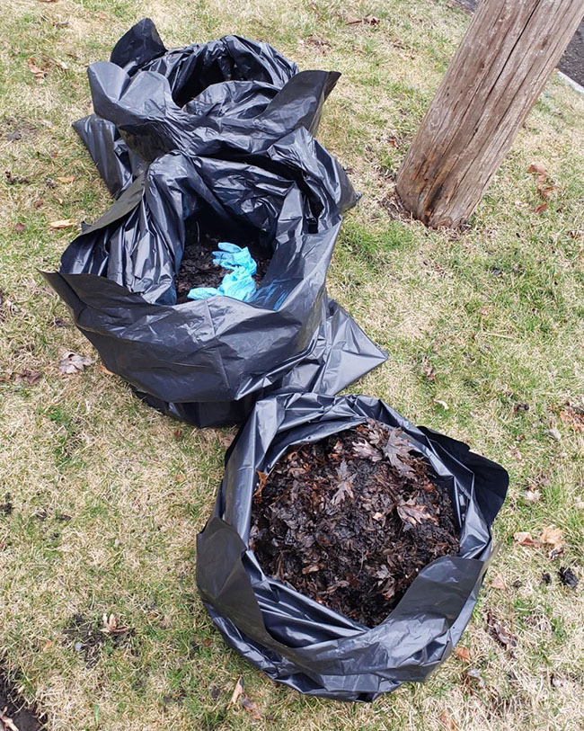 Zion Gutter Cleaning Odd Job Larry Kenosha, WI