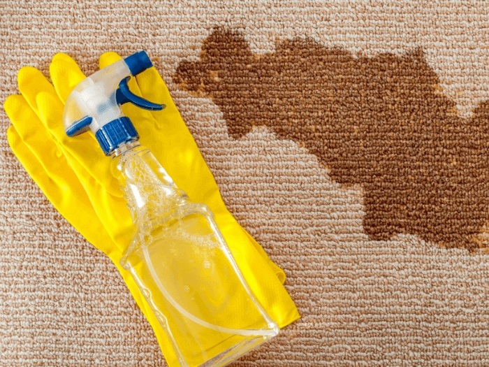 How to clean old carpets Odd Peak