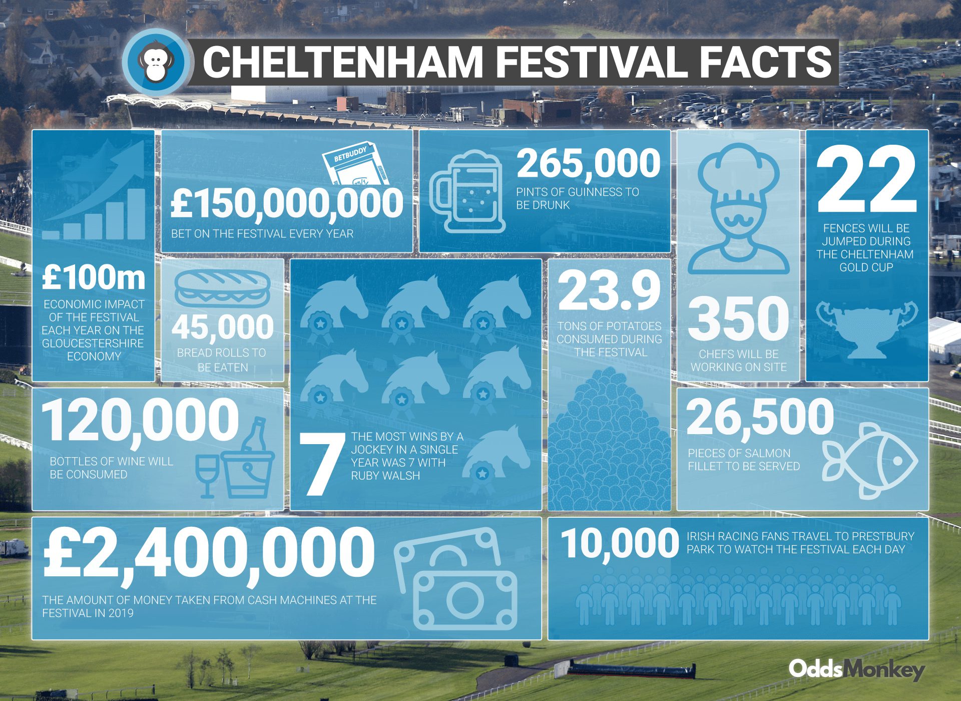 Cheltenham Facts all you need to know OddsMonkey Blog
