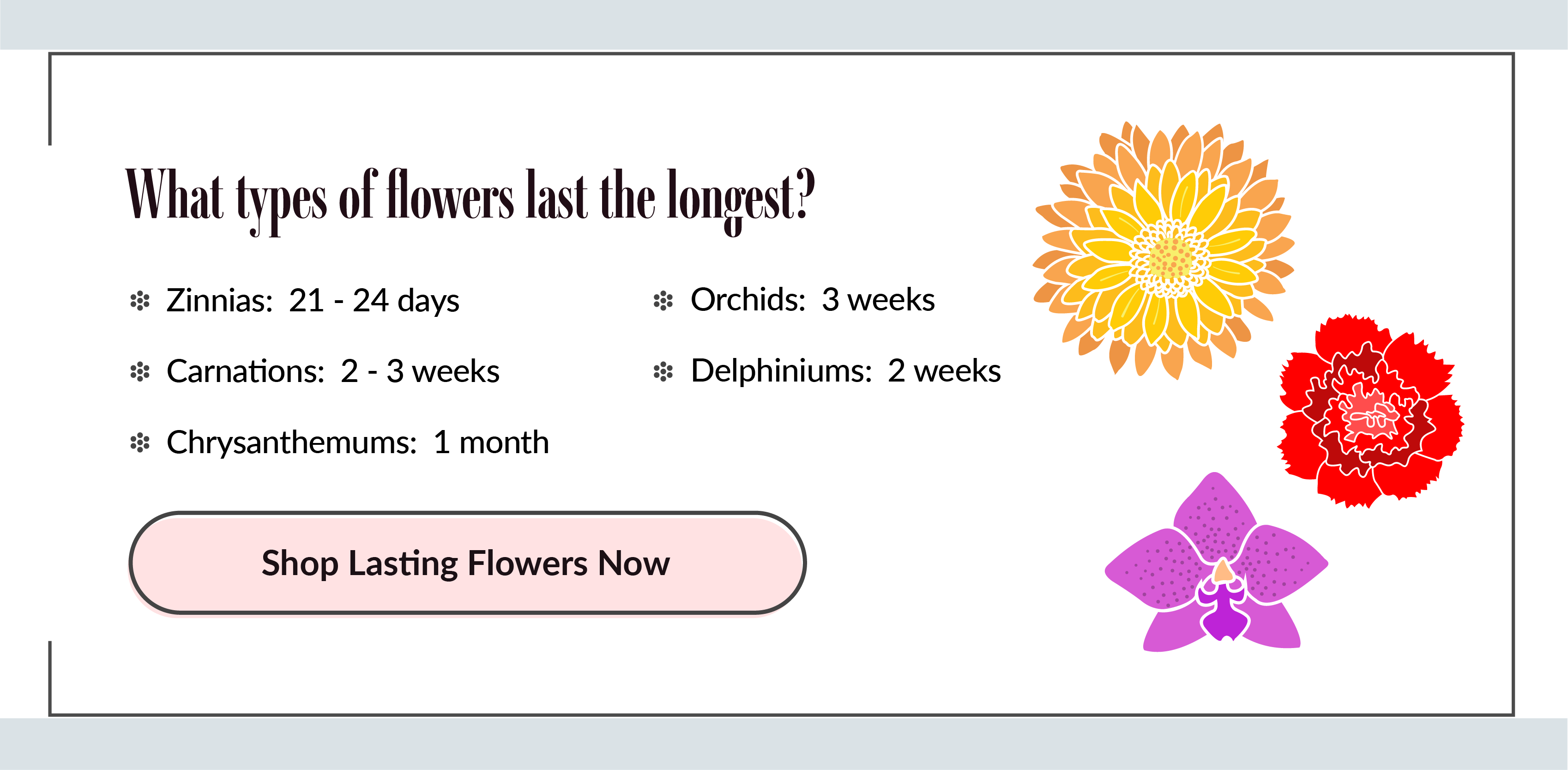 Which Flower Takes The Longest To Bloom at Stephanie Kennedy blog