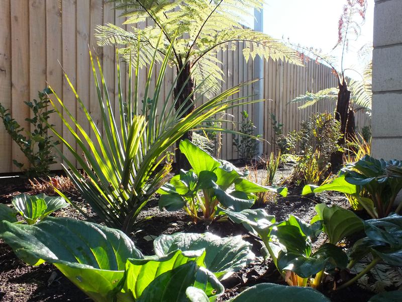 Oderings Garden Centre Landscaping; Christchurch