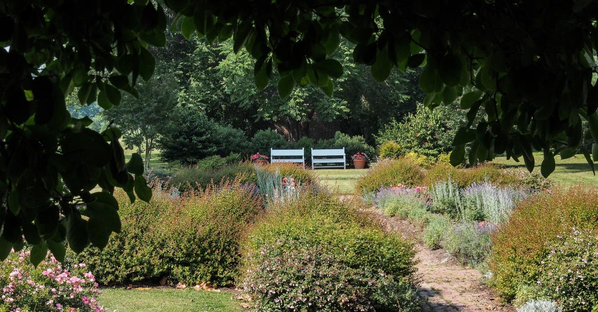 Lounge in your Ideal Beer Garden This September Historic Odessa Brewfest