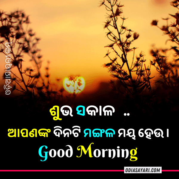 Top 10 Odia Good Morning Shayari Image [June 2024] » Odia Shayari