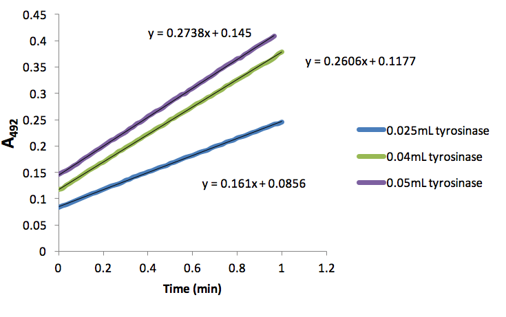 Enzyme Determination of the Parameters for Tyrosinase