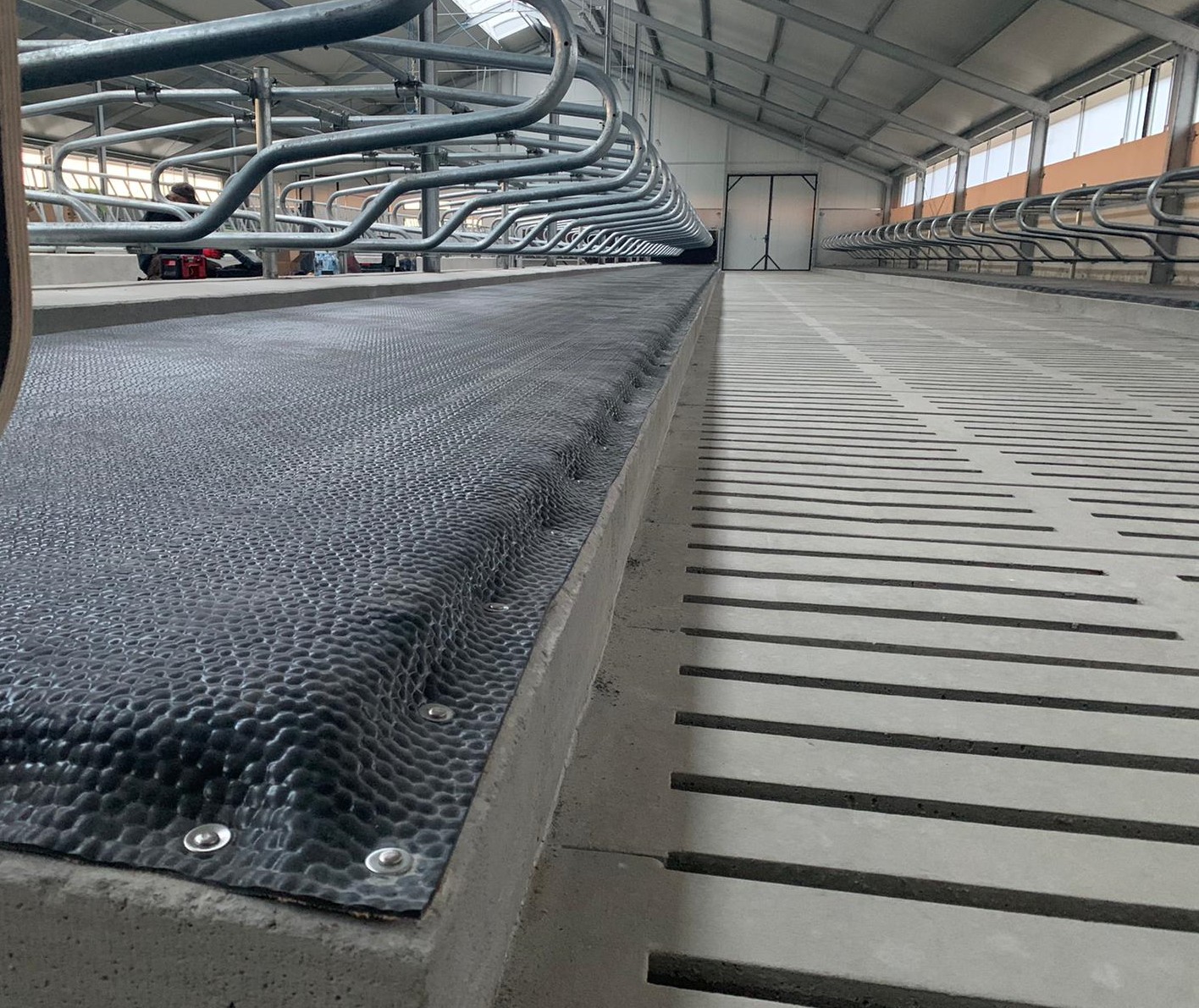 Cow Mattress Huber Technik Soft Bed System O' Donovan Engineering