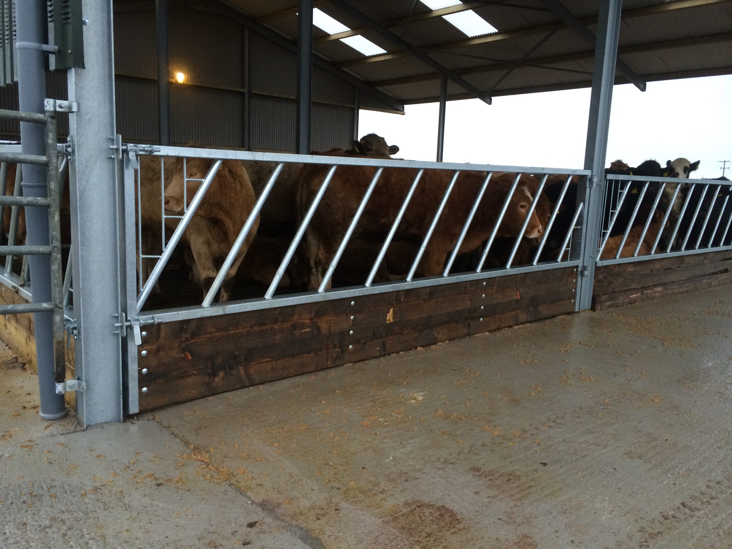 Hinged Feed Barrier Gate O' Donovan Engineering cattle feed barrier