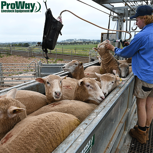 ProWay Livestock Equipment O' Donovan Engineering