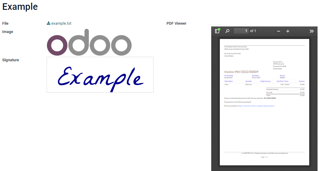 Fields and widgets — Odoo 16.0 documentation