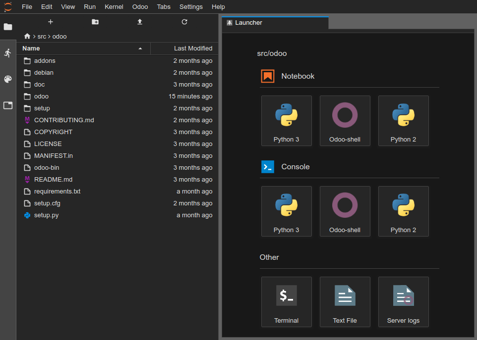 Online Editor — Odoo 14.0 documentation