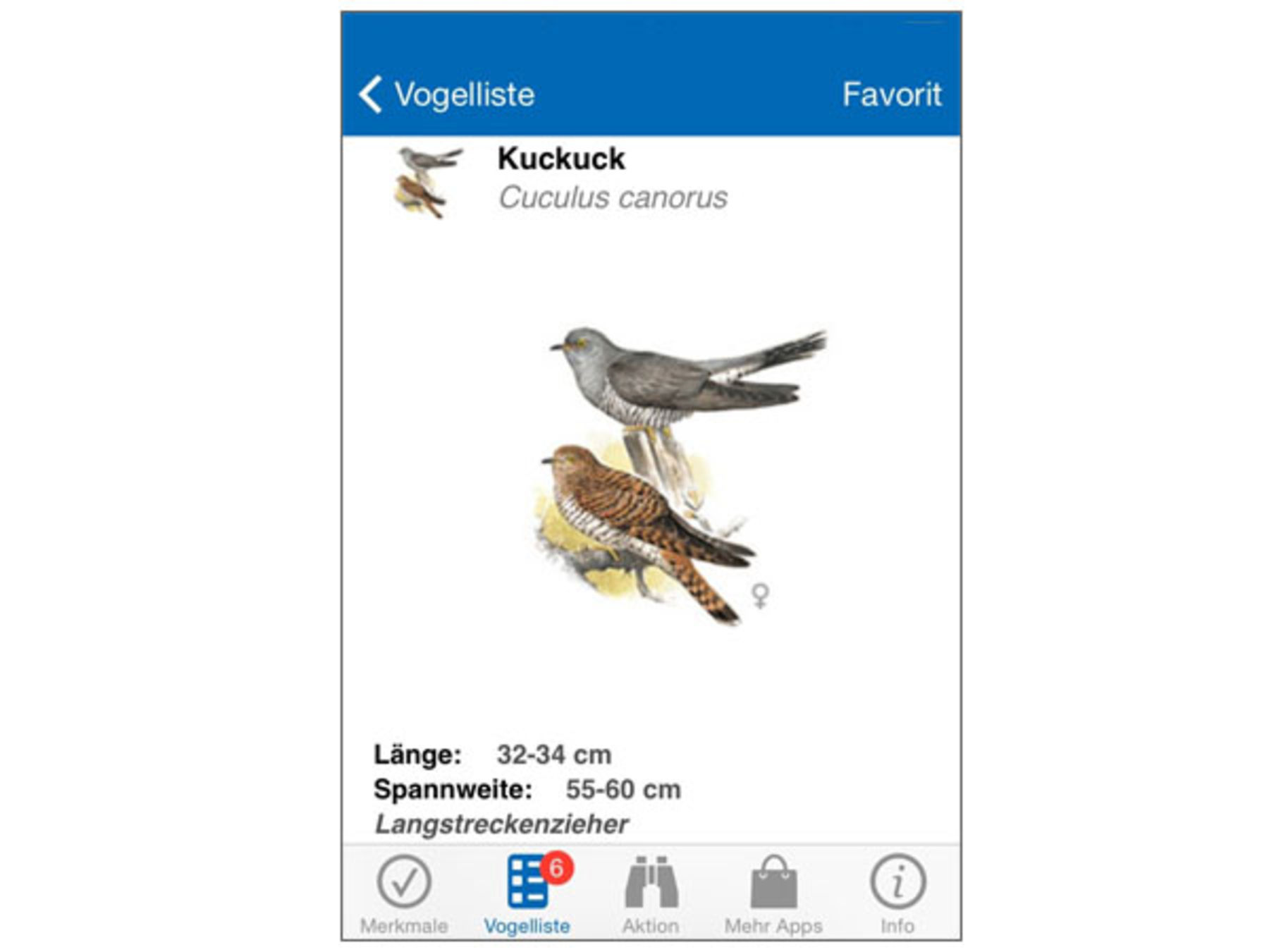 Vögel bestimmen ganz einfach mit einer App ökoLeo