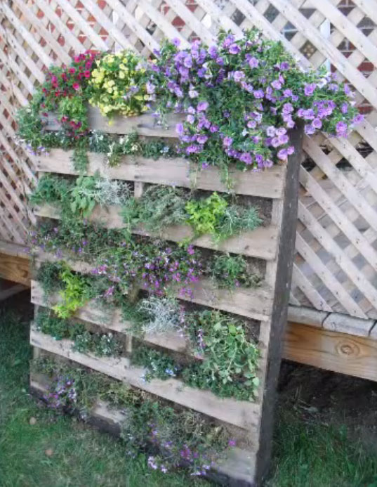 Upcycle Old Pallets to Make Beautiful Vertical Gardens