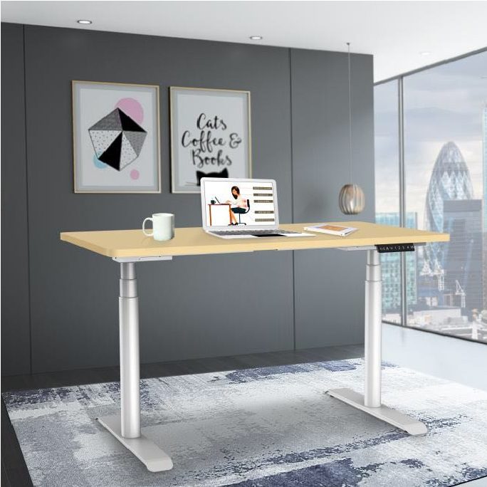Dual Motor adjustable height table height adjustable table office