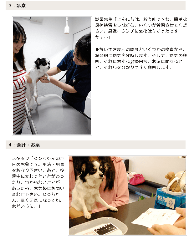 吉塚ペットクリニック 行政書士・社労士市川事務所