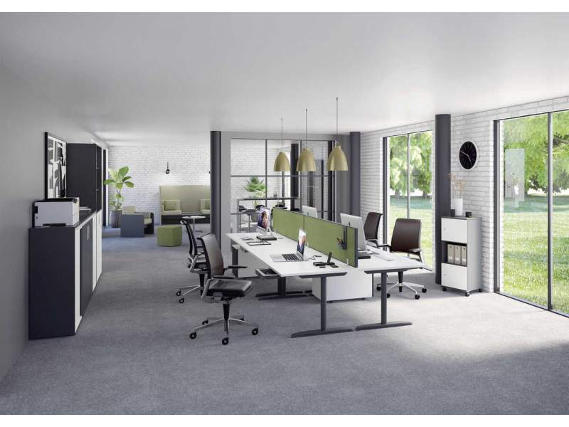 Fachhändler für Thales Basic von Hund