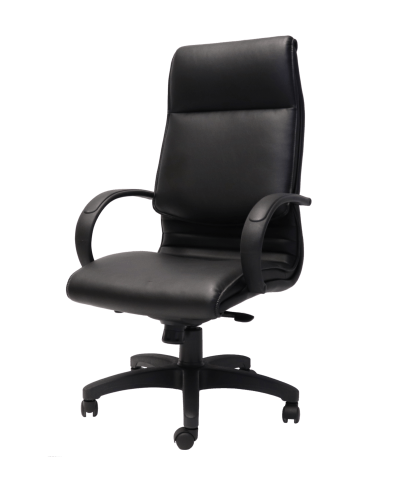 Executive Chairs Officely