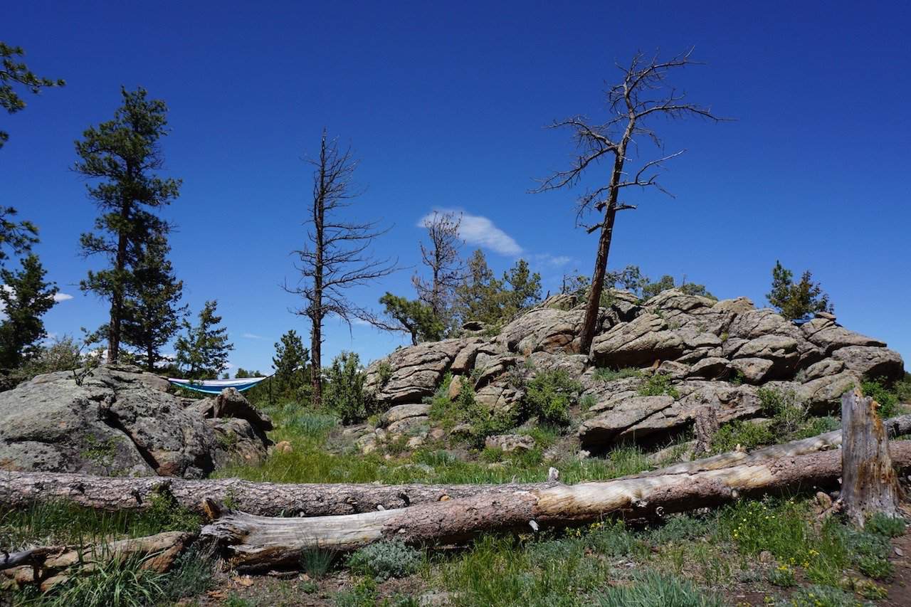 Red Feather Lakes Dispersed Camping