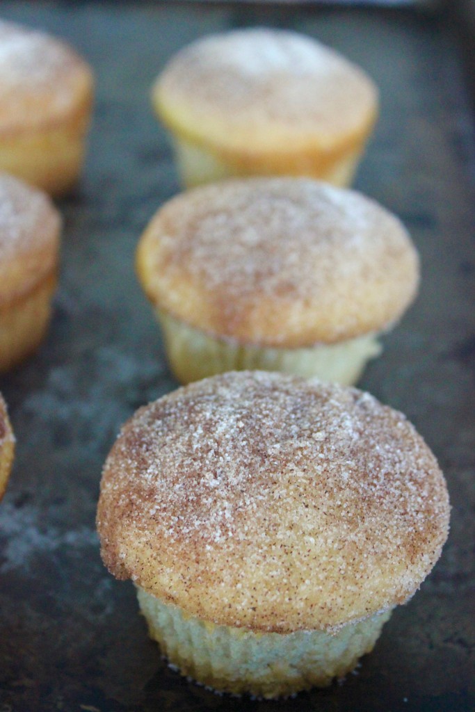 Cinnamon Sugar Donut Muffins Recipe