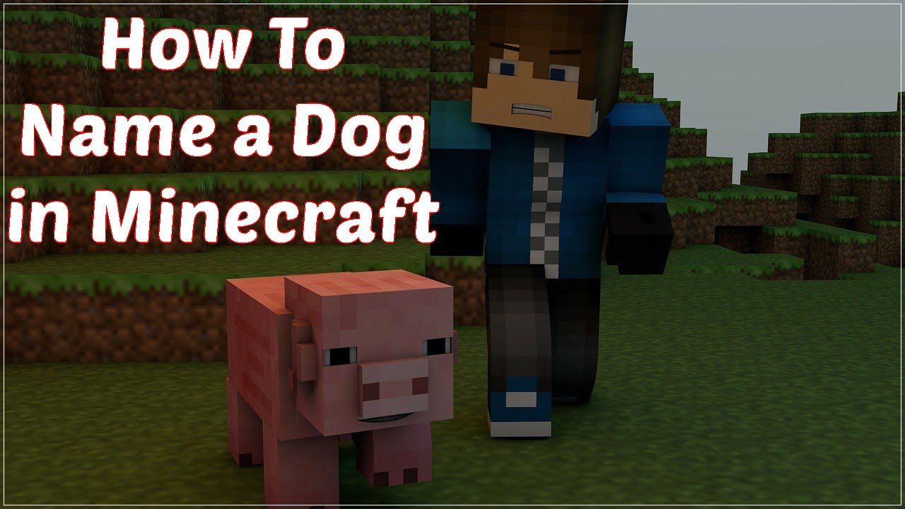 How to Name a Dog in Minecraft (January 2021) with Pictures