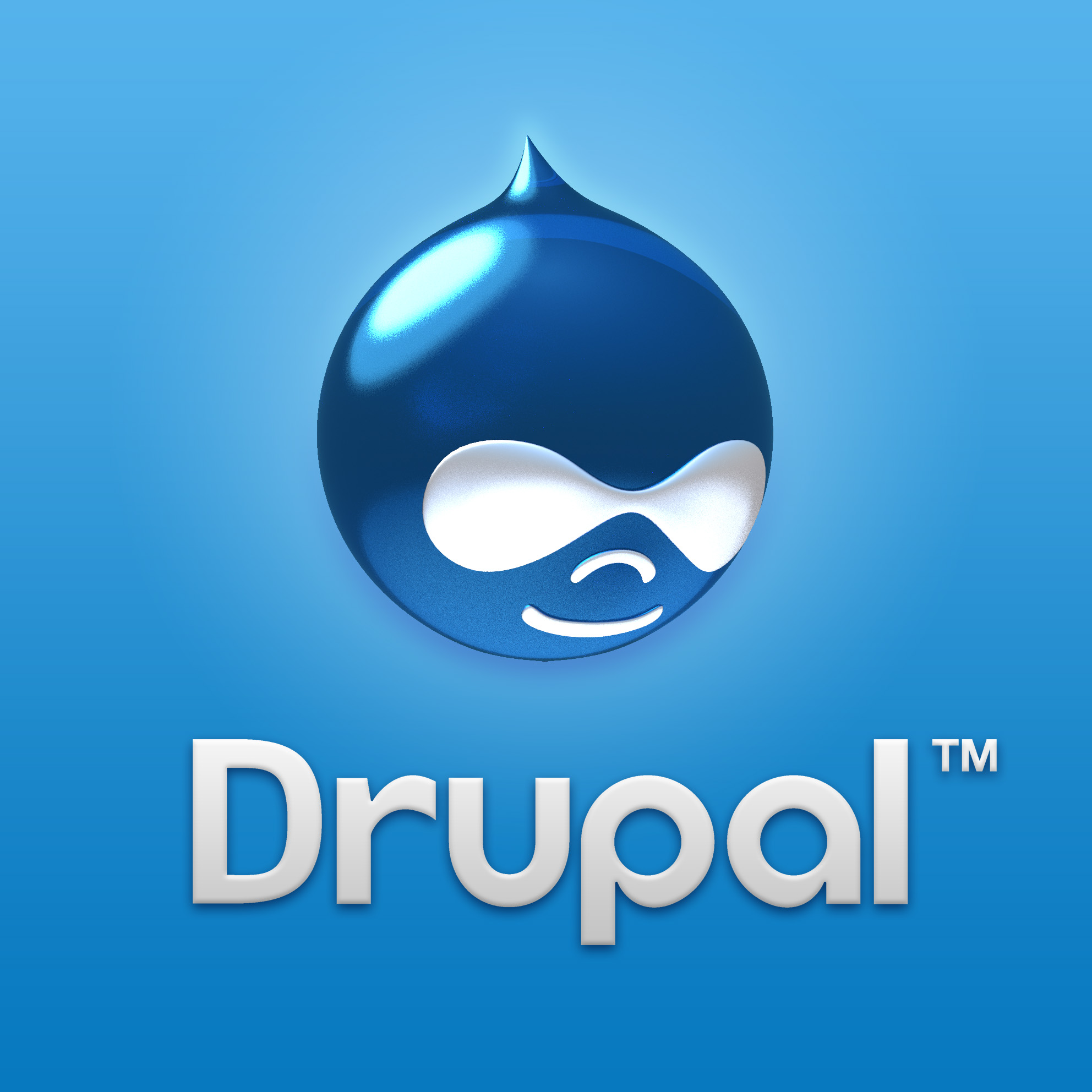 Three Upgrades You Should Splurge on for Your Drupal Page Travel Technology Software
