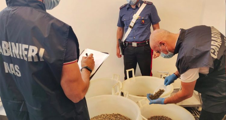 Travestimento Fatturabile Filosofo Cerco Lavoro Pulizie Milazzo E Dintorni Compagno Attrezzatura Rabbia 400_x_750_jpg